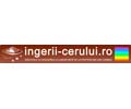 Logo of the website ingerii-cerului.ro